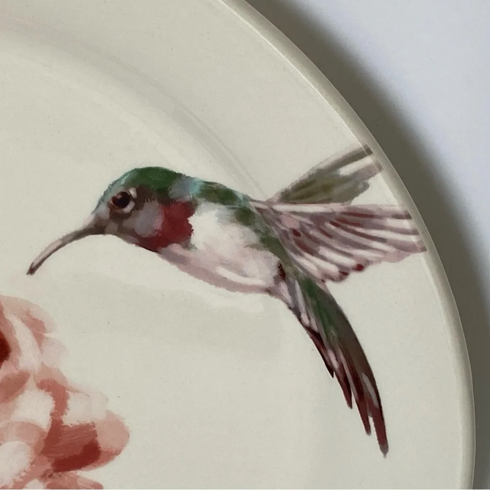Pier 1 Imports Hummingbird Plate Ceramic 8.75” Lunch Decor birds Ruby Throated